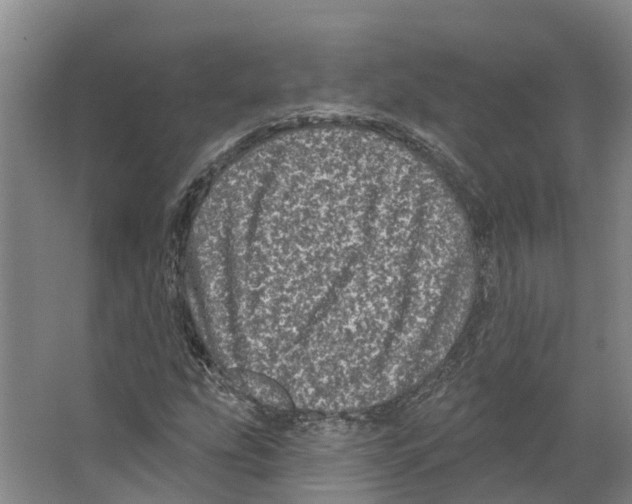 X0000066531207200604141831