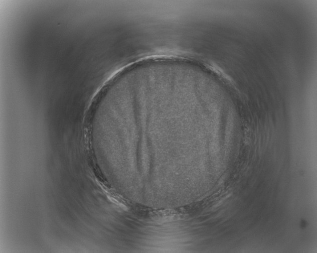 X0000066531208200604141831