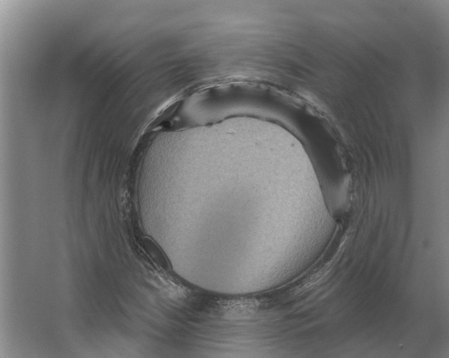 X0000066531210200604141831