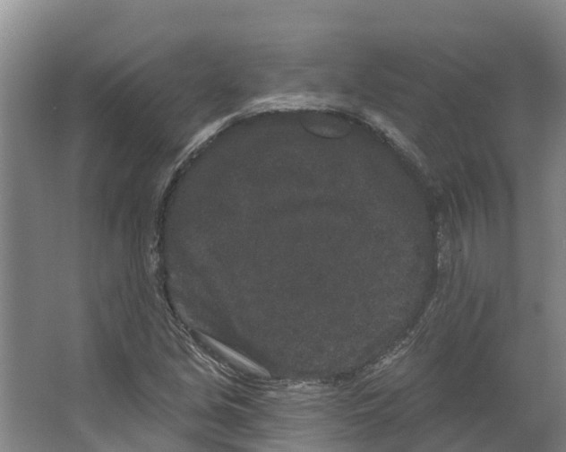 X0000066531213200604141831