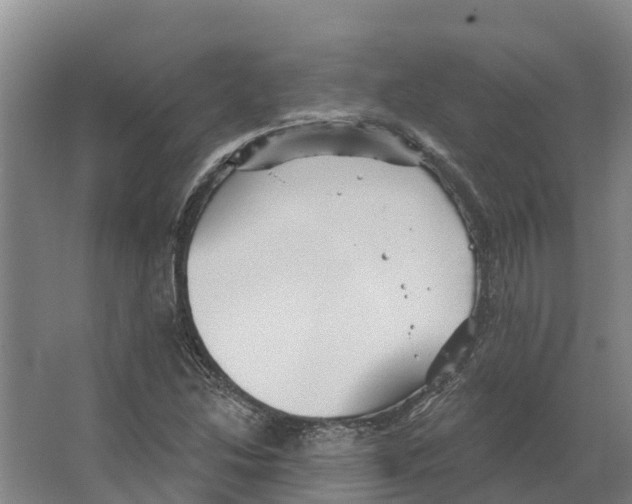 X0000066531214200604141831