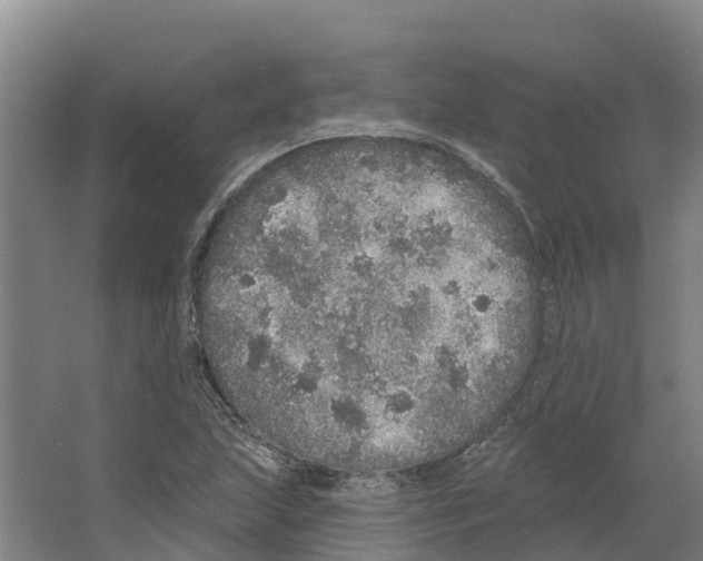 X0000066531215200604141831