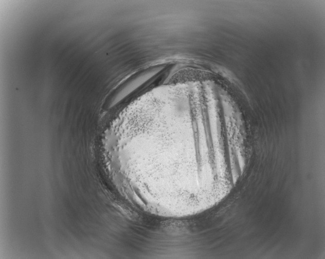 X0000066531217200604141831