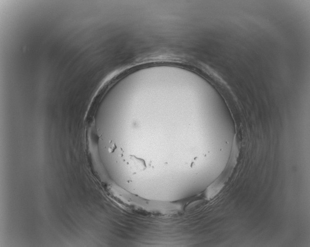 X0000066531222200604141831