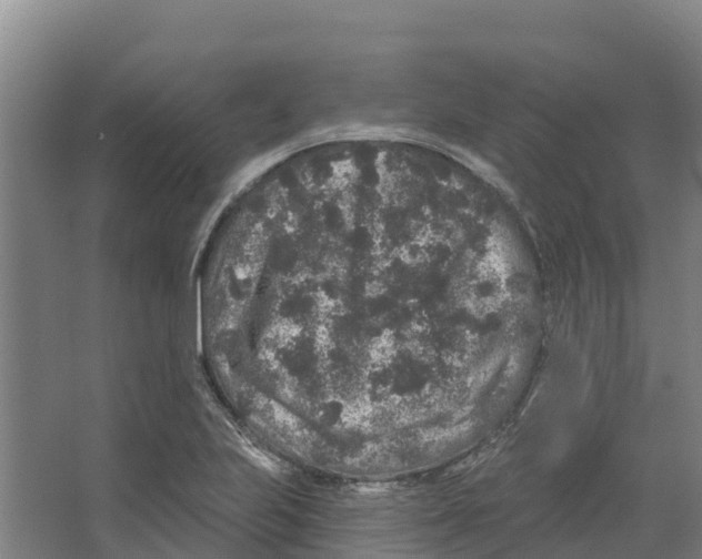 X0000066531223200604141831