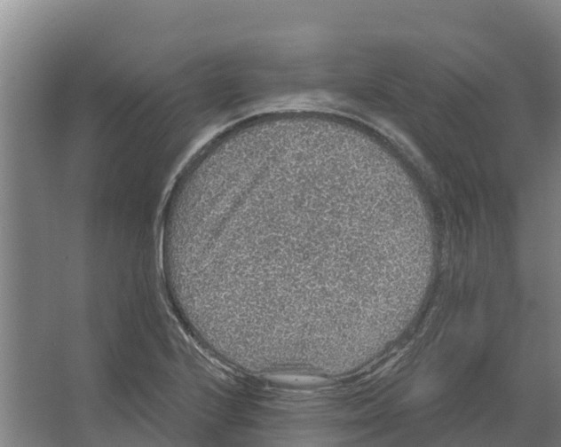 X0000066531224200604141831