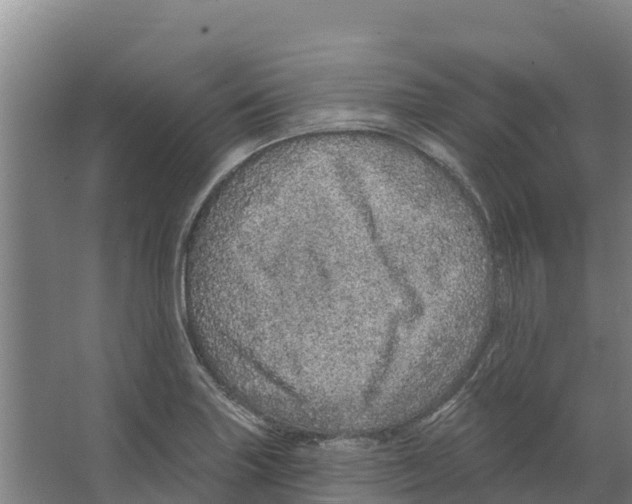 X0000066531227200604141831