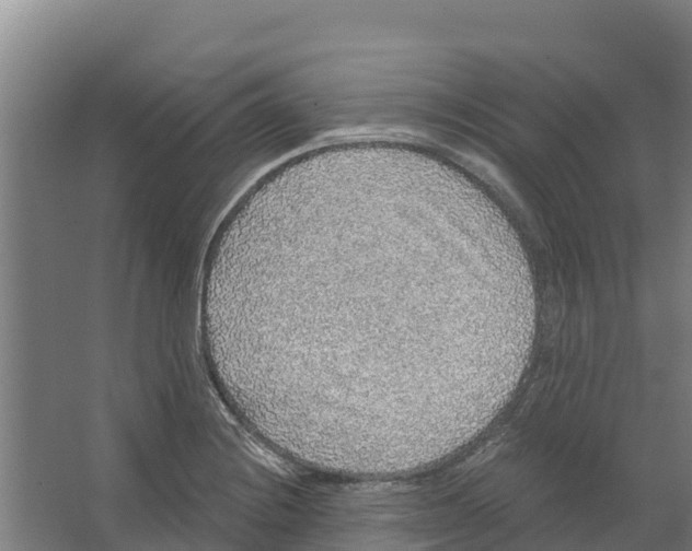 X0000066531228200604141831