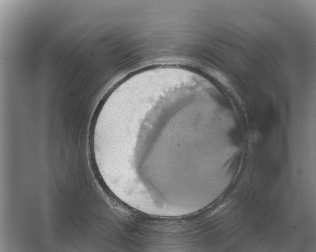 X0000066531229200604141831