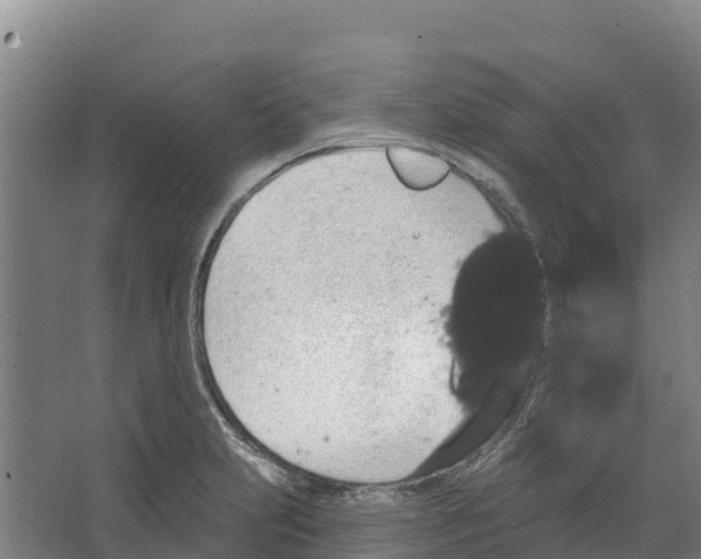 X0000066531231200604141831