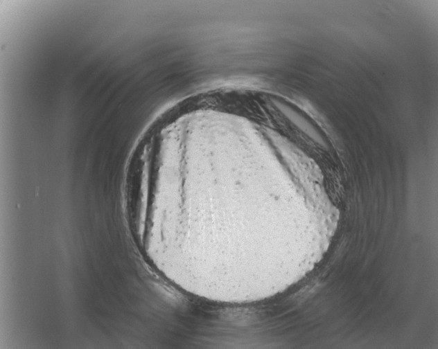 X0000066531232200604141831