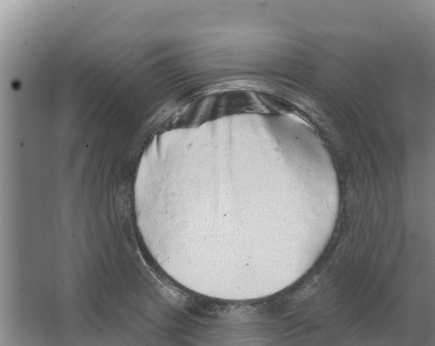 X0000066531233200604141831