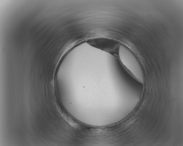 X0000066531234200604141831