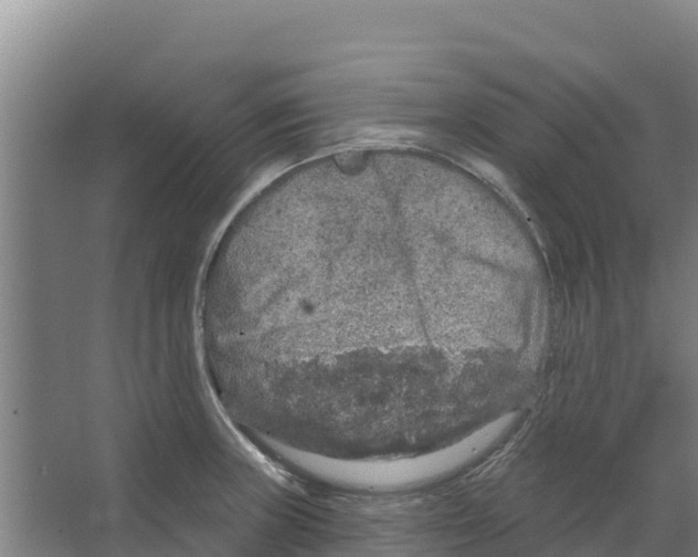 X0000066531235200604141831