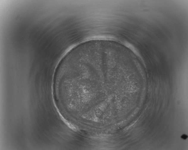 X0000066531237200604141831