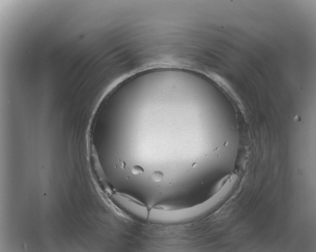 X0000066531238200604141831