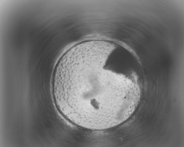 X0000066531239200604141831