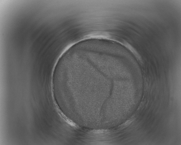 X0000066531240200604141831