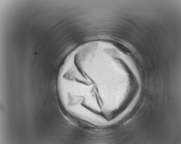 X0000066531241200604141831