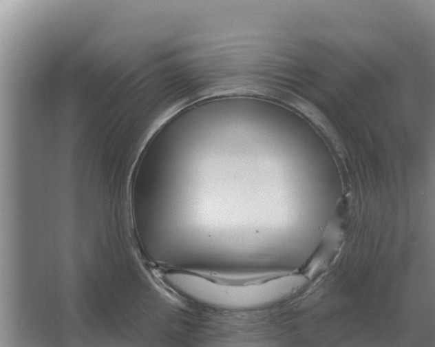 X0000066531242200604141831