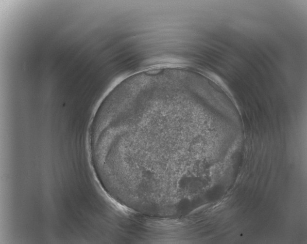 X0000066531243200604141831