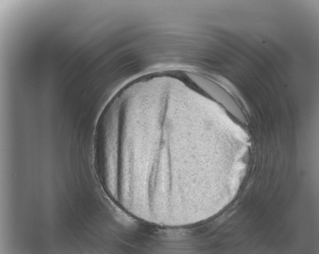 X0000066531244200604141831