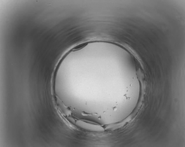 X0000066531246200604141831