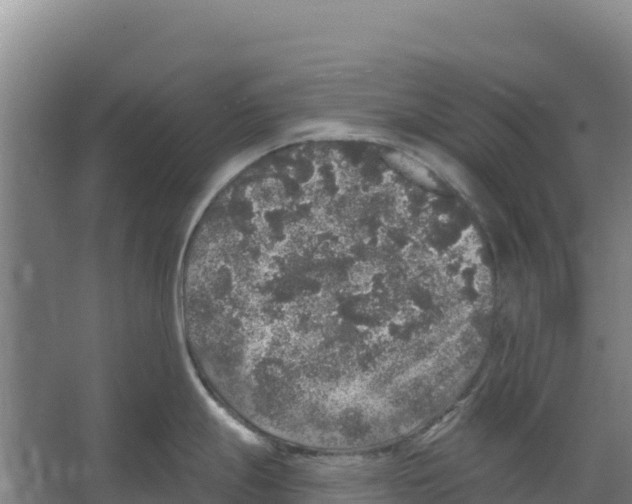 X0000066531247200604141831