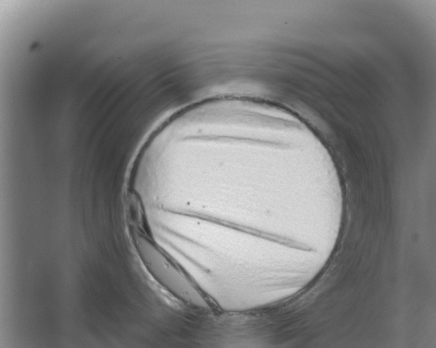 X0000066531248200604141831