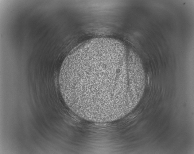 X0000066531251200604141831