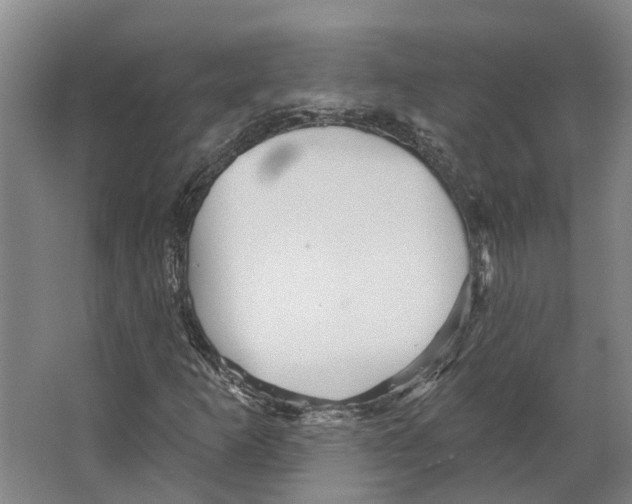 X0000066531253200604141831