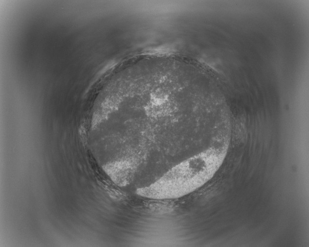 X0000066531254200604141831