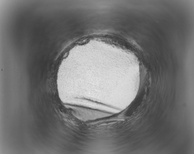 X0000066531256200604141831