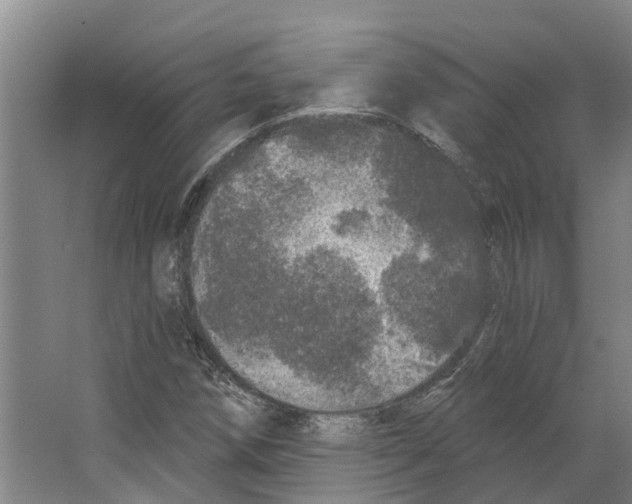 X0000066531258200604141830