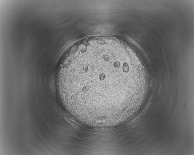 X0000066531259200604141830