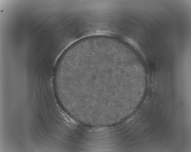 X0000066531260200604141830