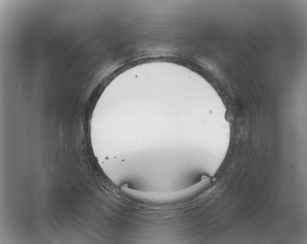 X0000066531261200604141830