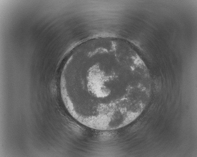 X0000066531266200604141830