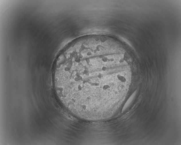 X0000066531267200604141830