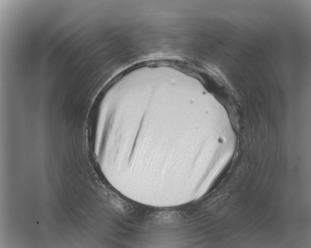 X0000066531268200604141830