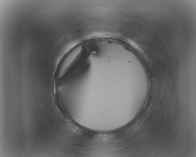 X0000066531269200604141830