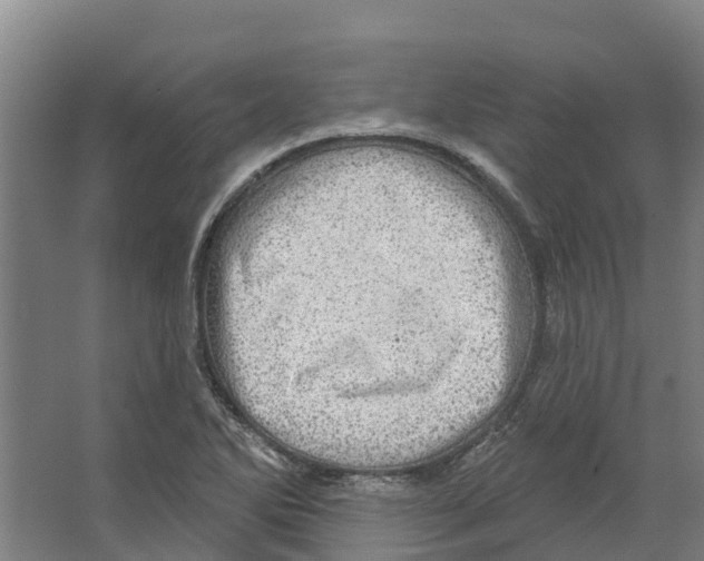 X0000066531270200604141830