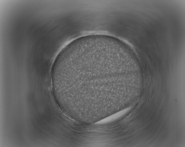 X0000066531271200604141830