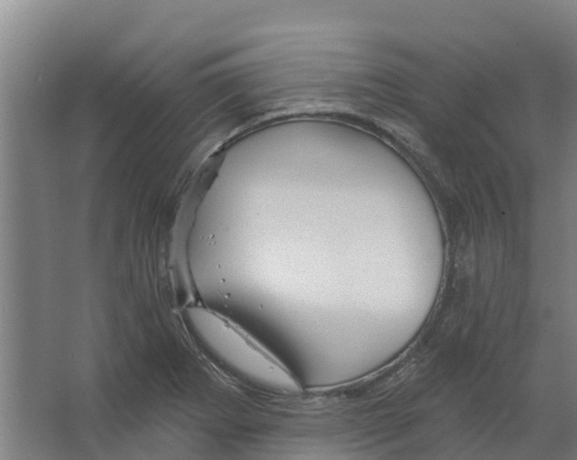 X0000066531273200604141830