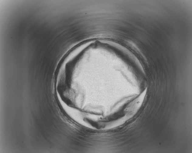 X0000066531276200604141830