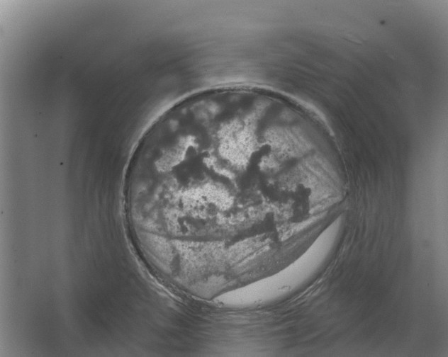 X0000066531279200604141830