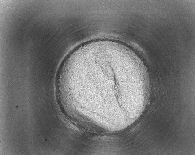 X0000066531280200604141830