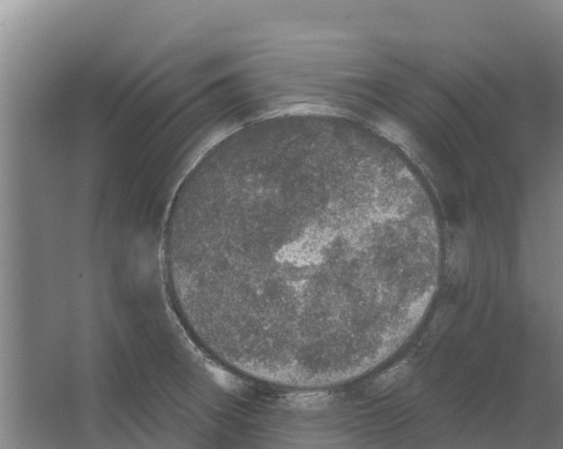 X0000066531282200604141830