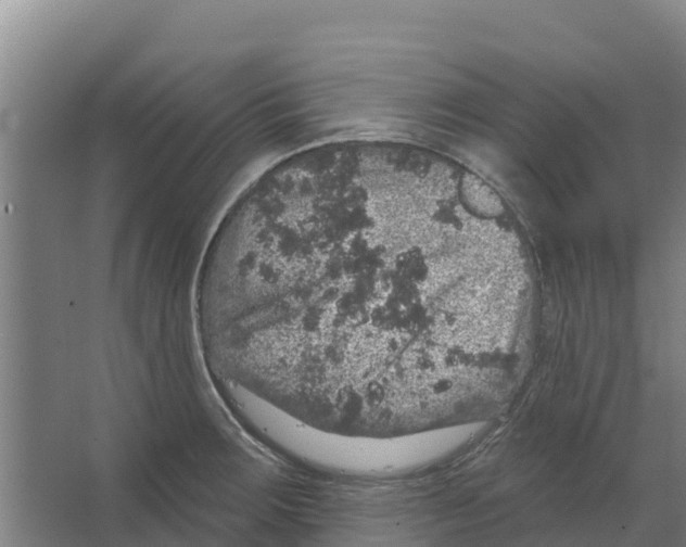 X0000066531283200604141830