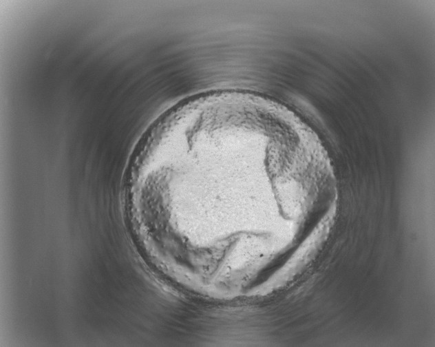 X0000066531284200604141830